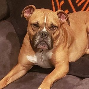 Meet your Posher, Randy